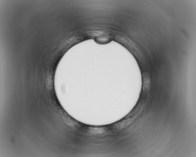 X0000110690469200907241108