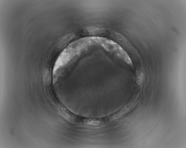 X0000110690471200907241108