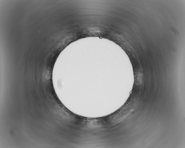 X0000110690472200907241108