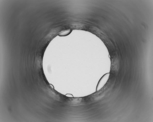 X0000110690474200907241108