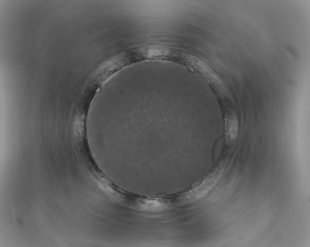 X0000110690475200907241108