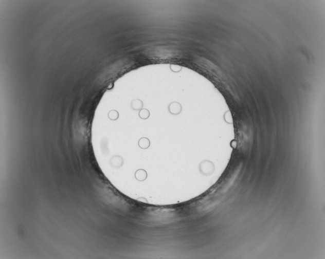 X0000110690476200907241108