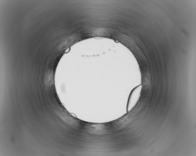 X0000110690478200907241108