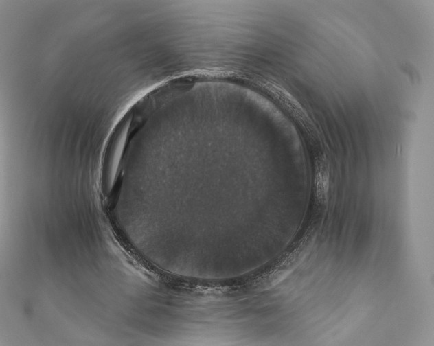 X0000110690484200907241107