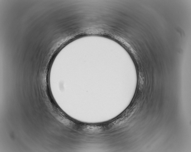 X0000110690487200907241107