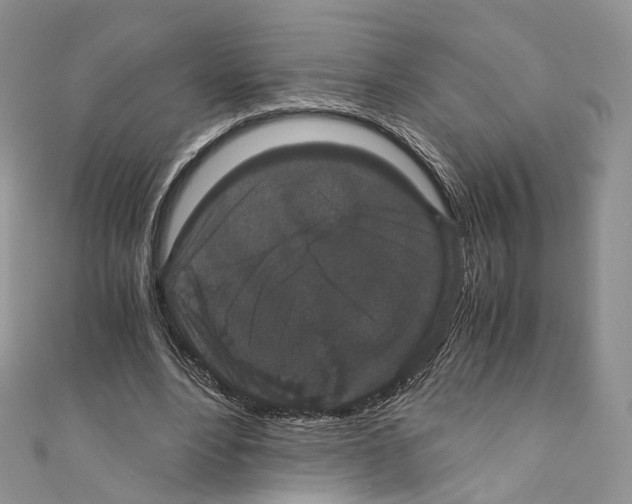 X0000110690488200907241107