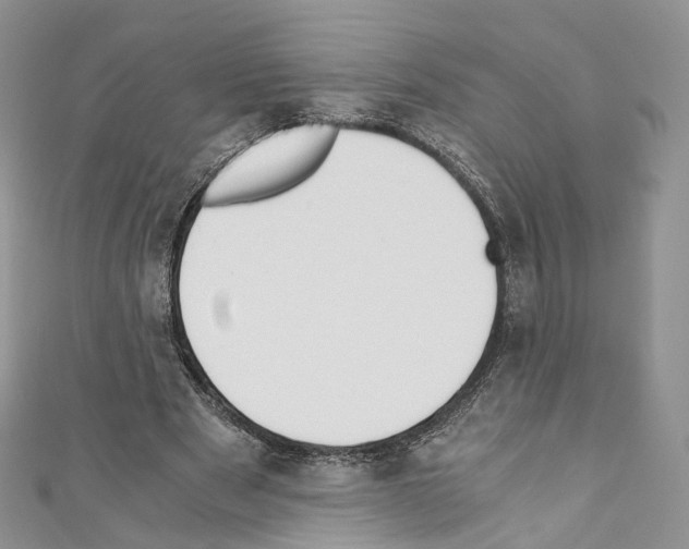 X0000110690489200907241107