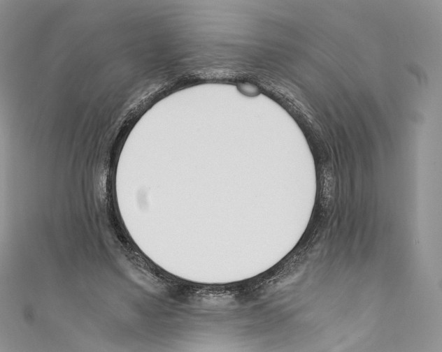 X0000110690491200907241107