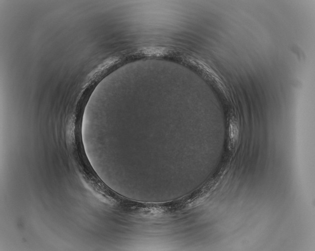 X0000110690492200907241107