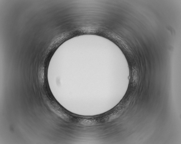 X0000110690494200907241107