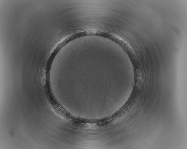 X0000110690496200907241107