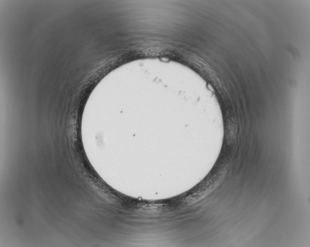 X0000110690497200907241107