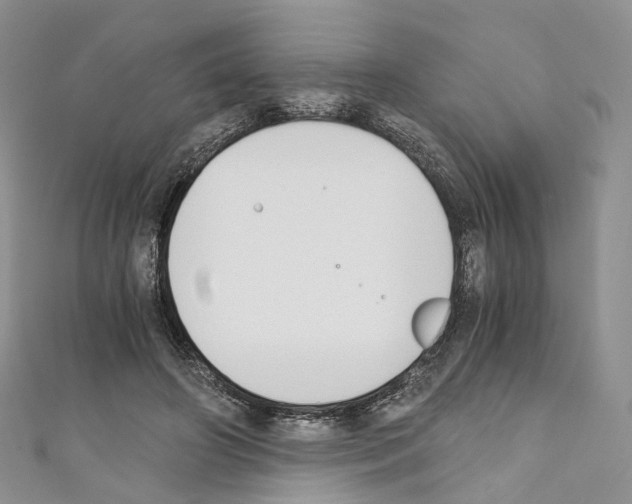 X0000110690498200907241107