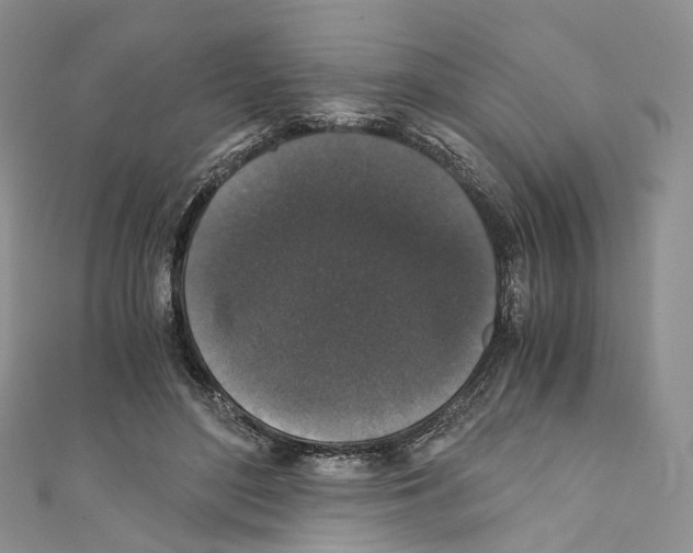 X0000110690500200907241107