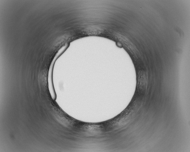 X0000110690501200907241107