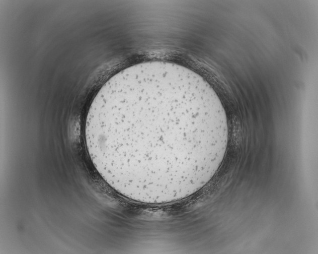 X0000110690502200907241107