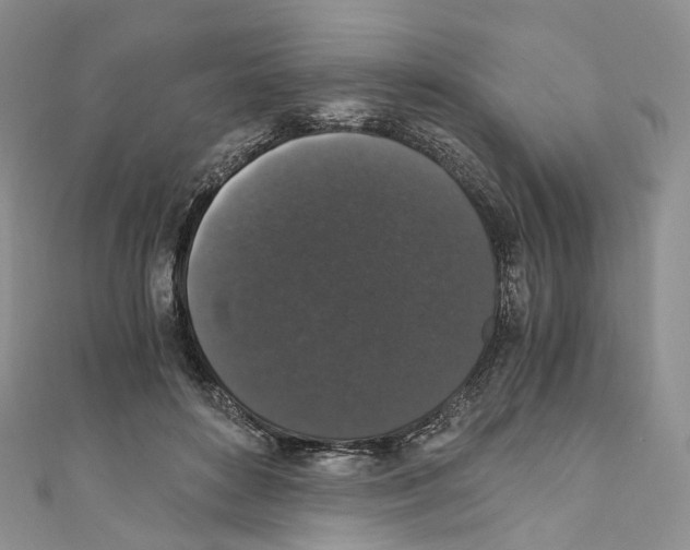 X0000110690504200907241107