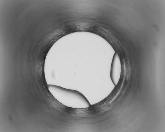 X0000110690505200907241107