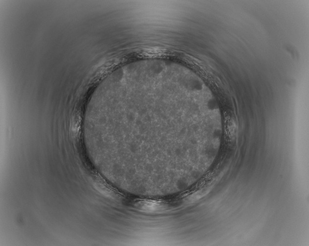 X0000110690507200907241107