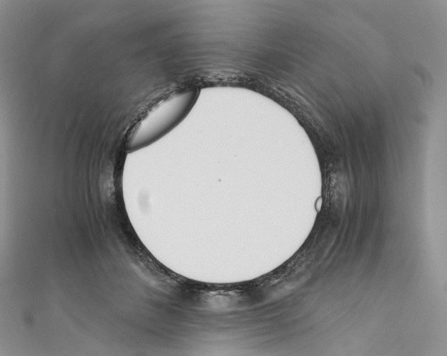 X0000110690508200907241107