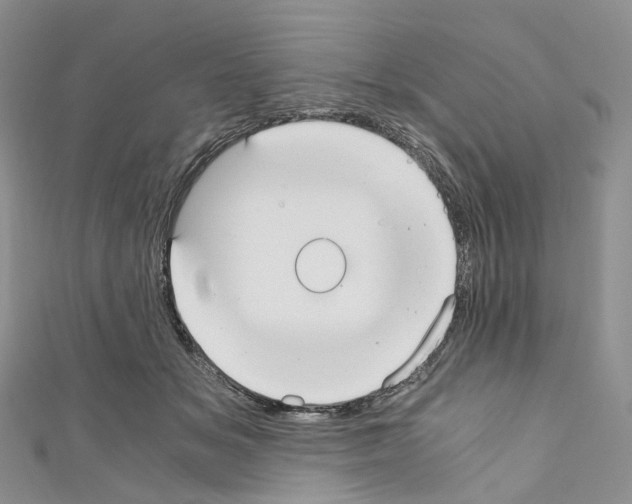 X0000110690509200907241107