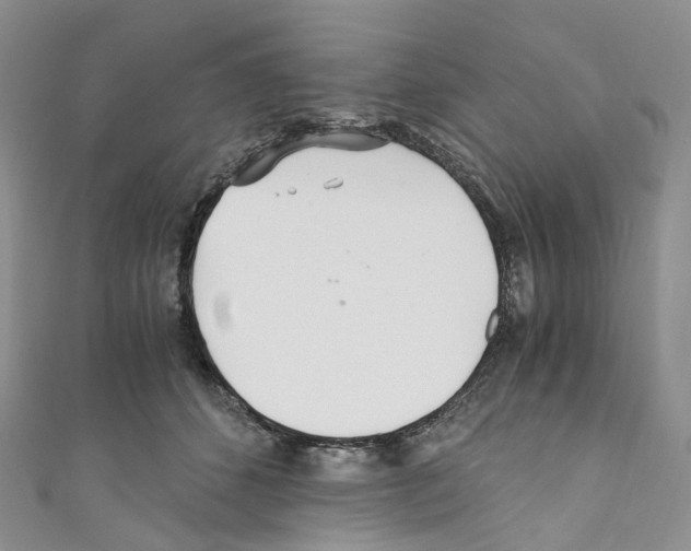 X0000110690512200907241107