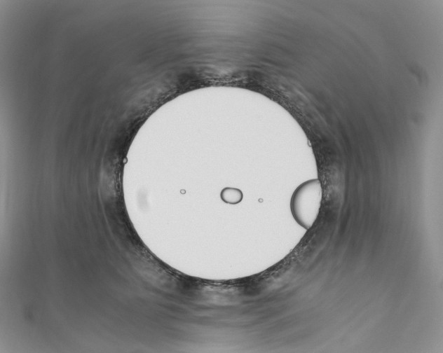 X0000110690515200907241107