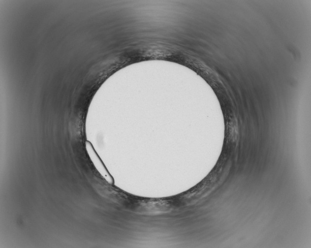 X0000110690517200907241107