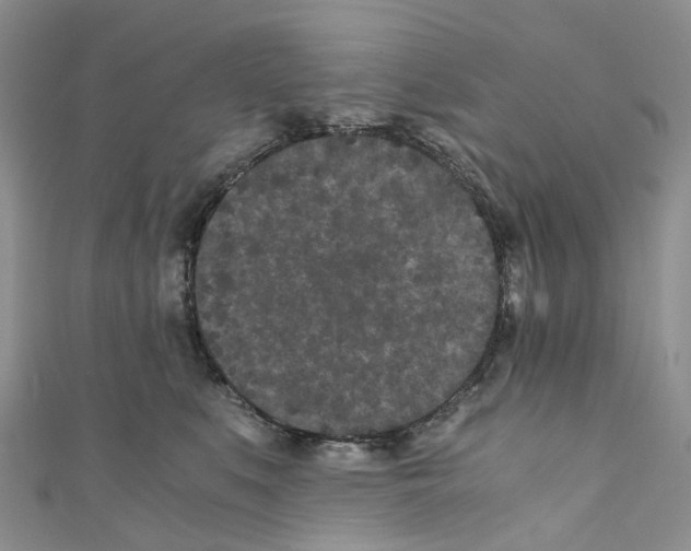 X0000110690519200907241107