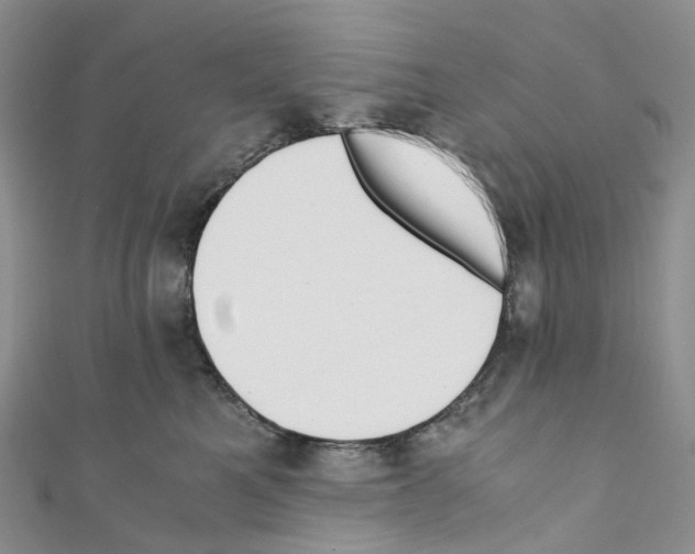 X0000110690521200907241107