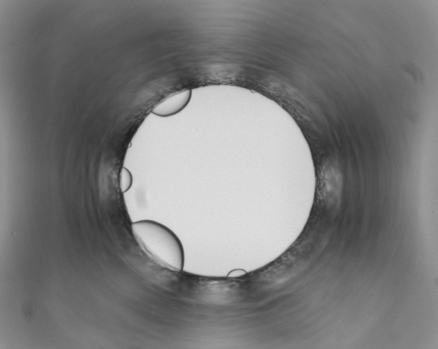 X0000110690522200907241107