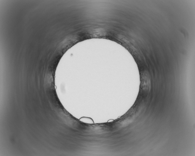 X0000110690523200907241107