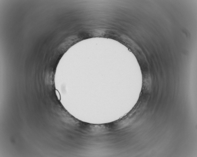 X0000110690525200907241107