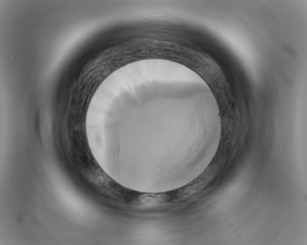 X0000110690526200907241107