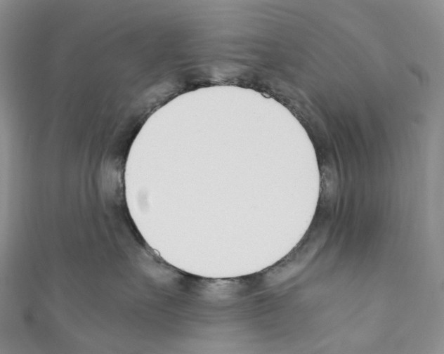 X0000110690527200907241107