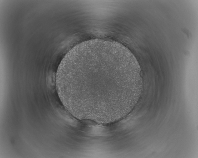 X0000110690528200907241107