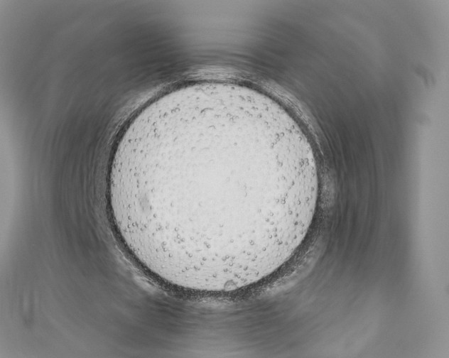 X0000110690529200907241106