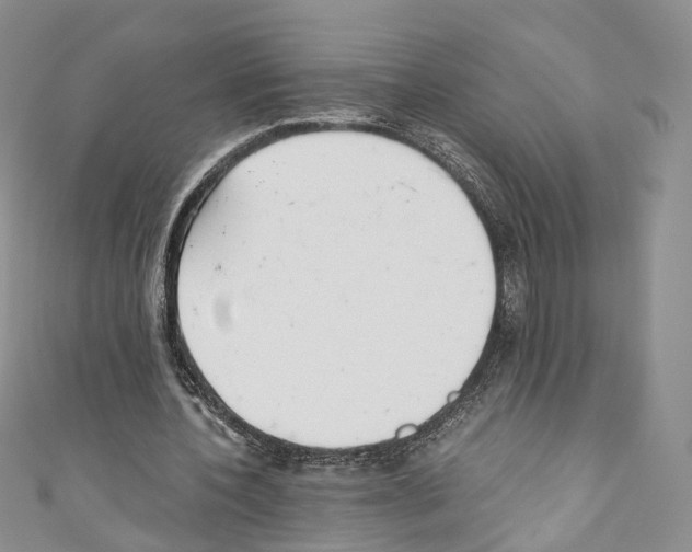 X0000110690532200907241106