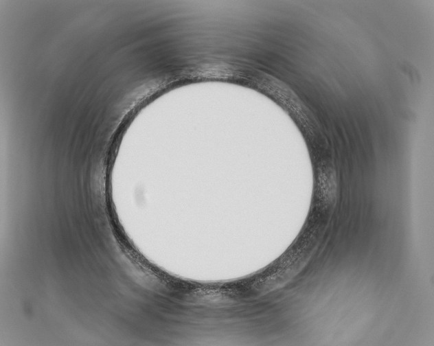 X0000110690534200907241106