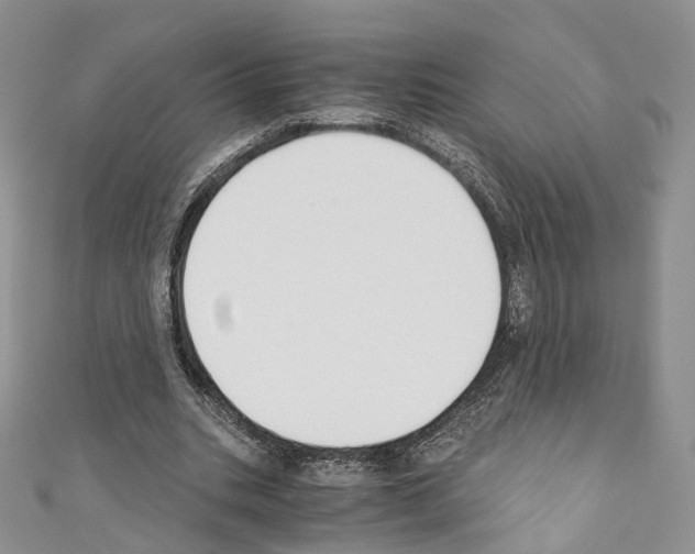 X0000110690535200907241106