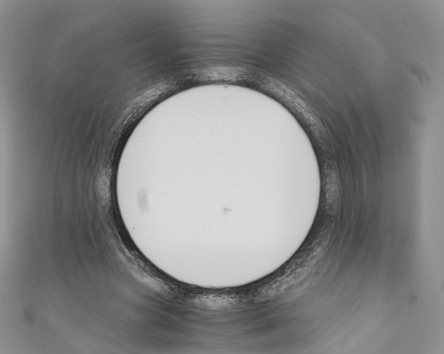 X0000110690537200907241106