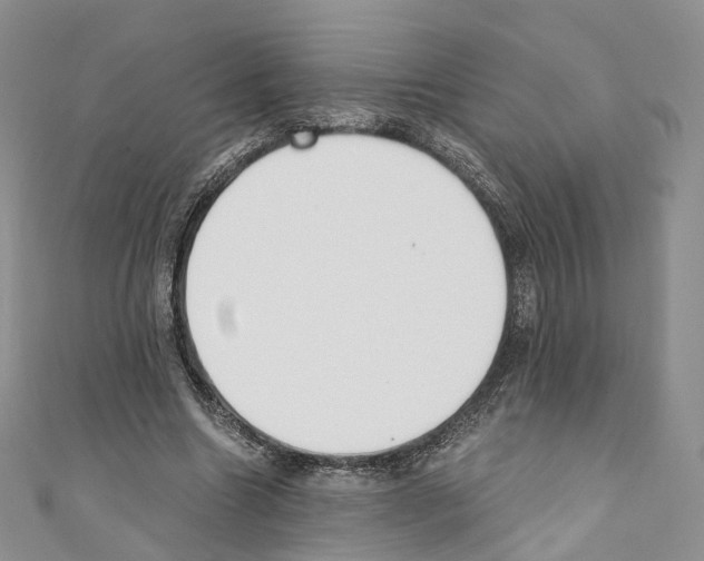 X0000110690538200907241106