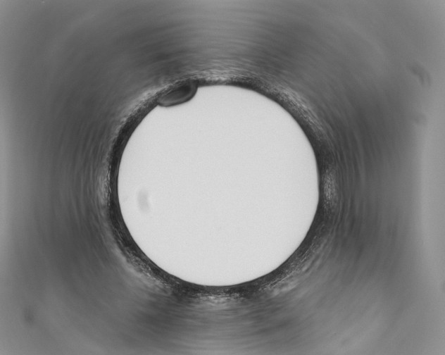 X0000110690540200907241106