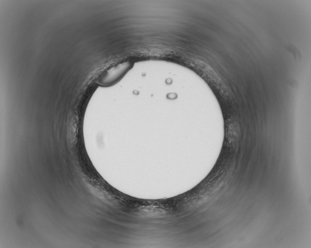 X0000110690544200907241106