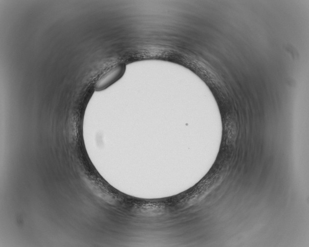 X0000110690546200907241106