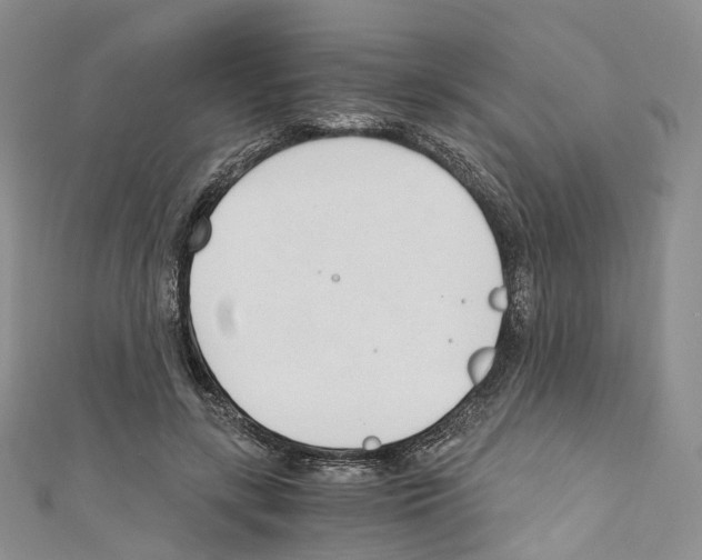 X0000110690547200907241106