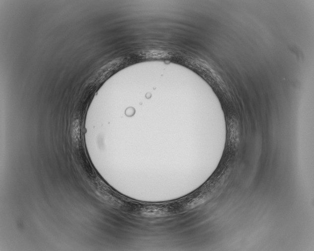 X0000110690549200907241106