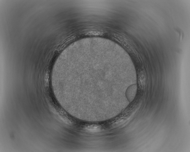 X0000110690551200907241106