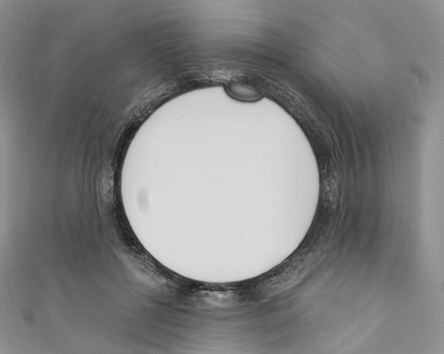 X0000110690552200907241106