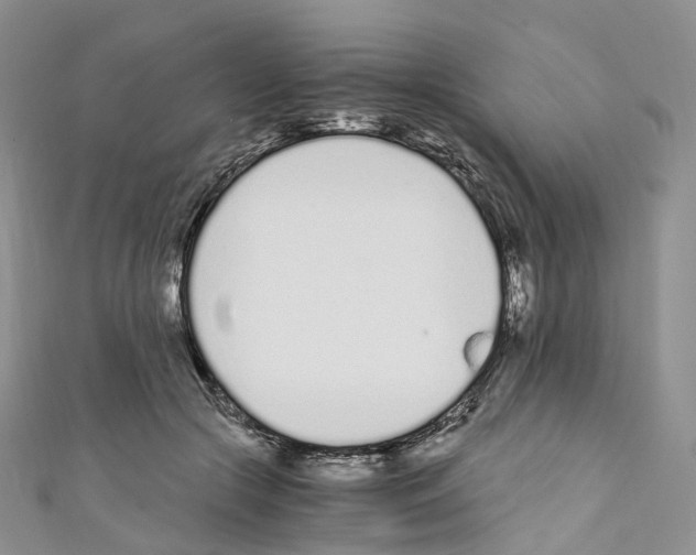 X0000110690553200907241106